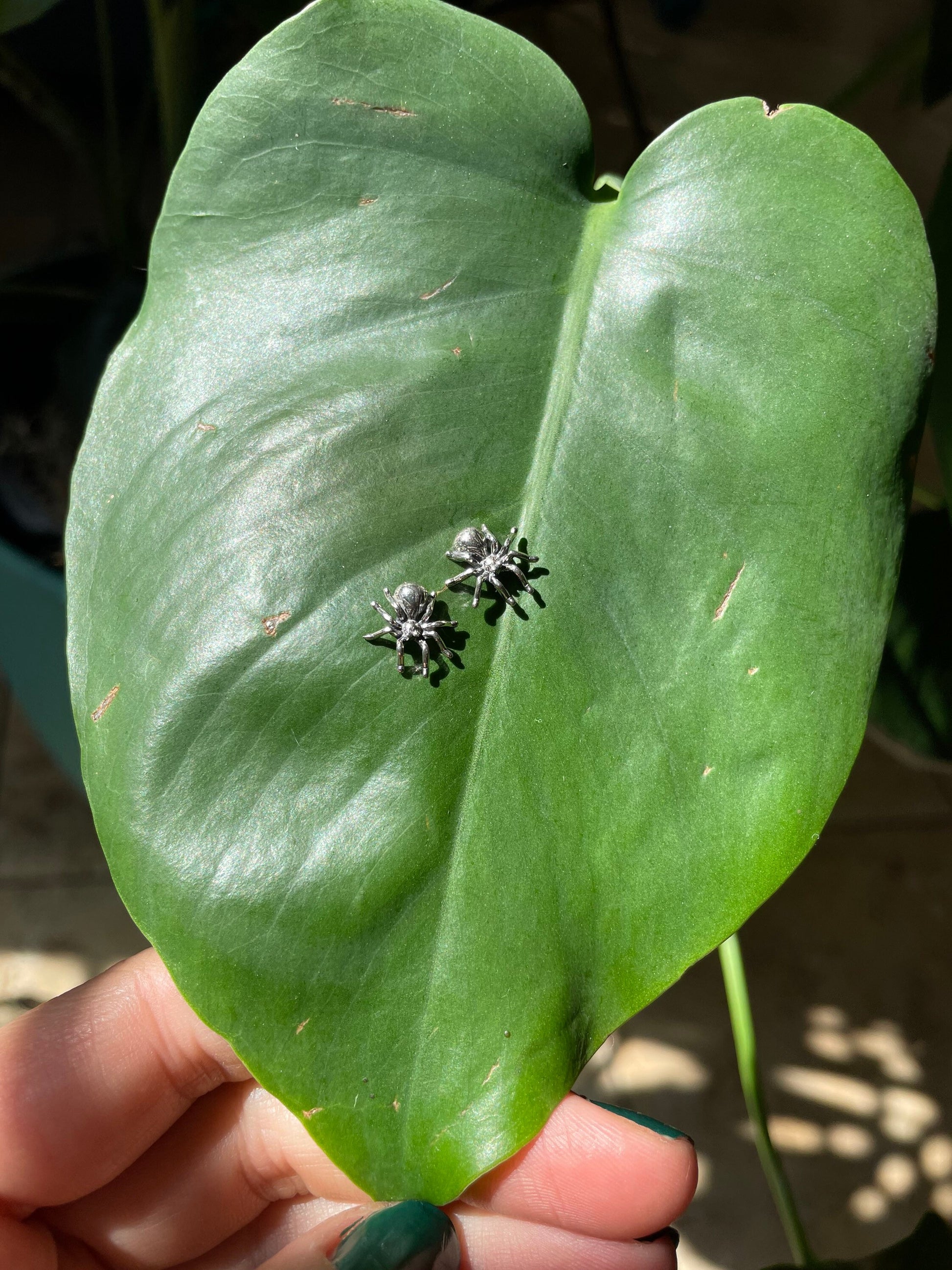 Spidey Senses • Sterling Spider Studs • realistic spider jewelry