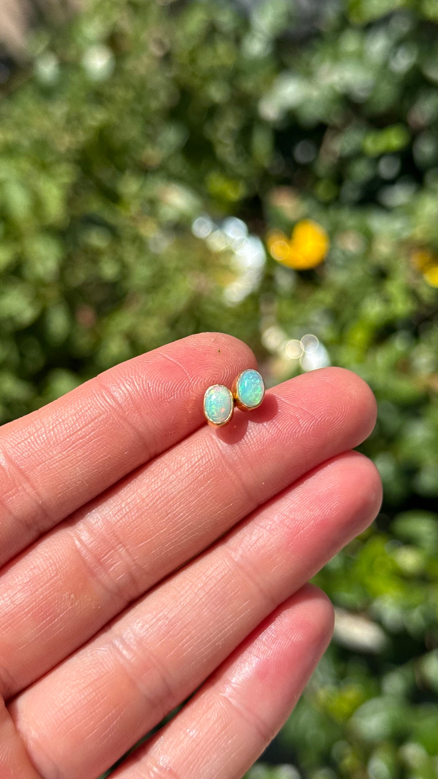 Welo Opal Studs in gold vermeil
