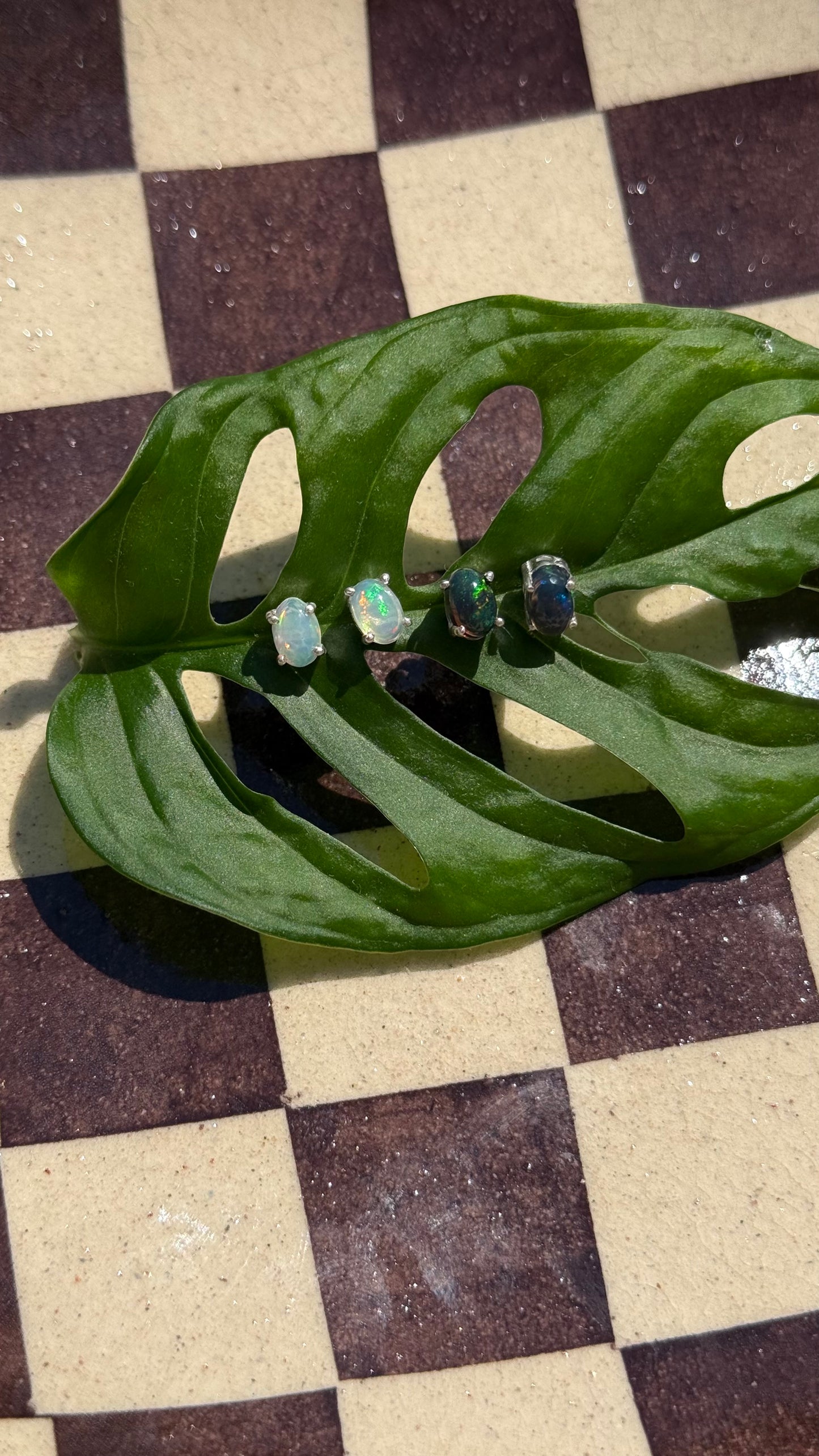 Welo Opal Studs