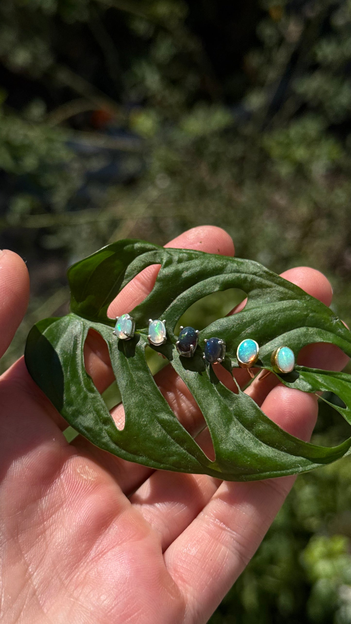 Welo Opal Studs
