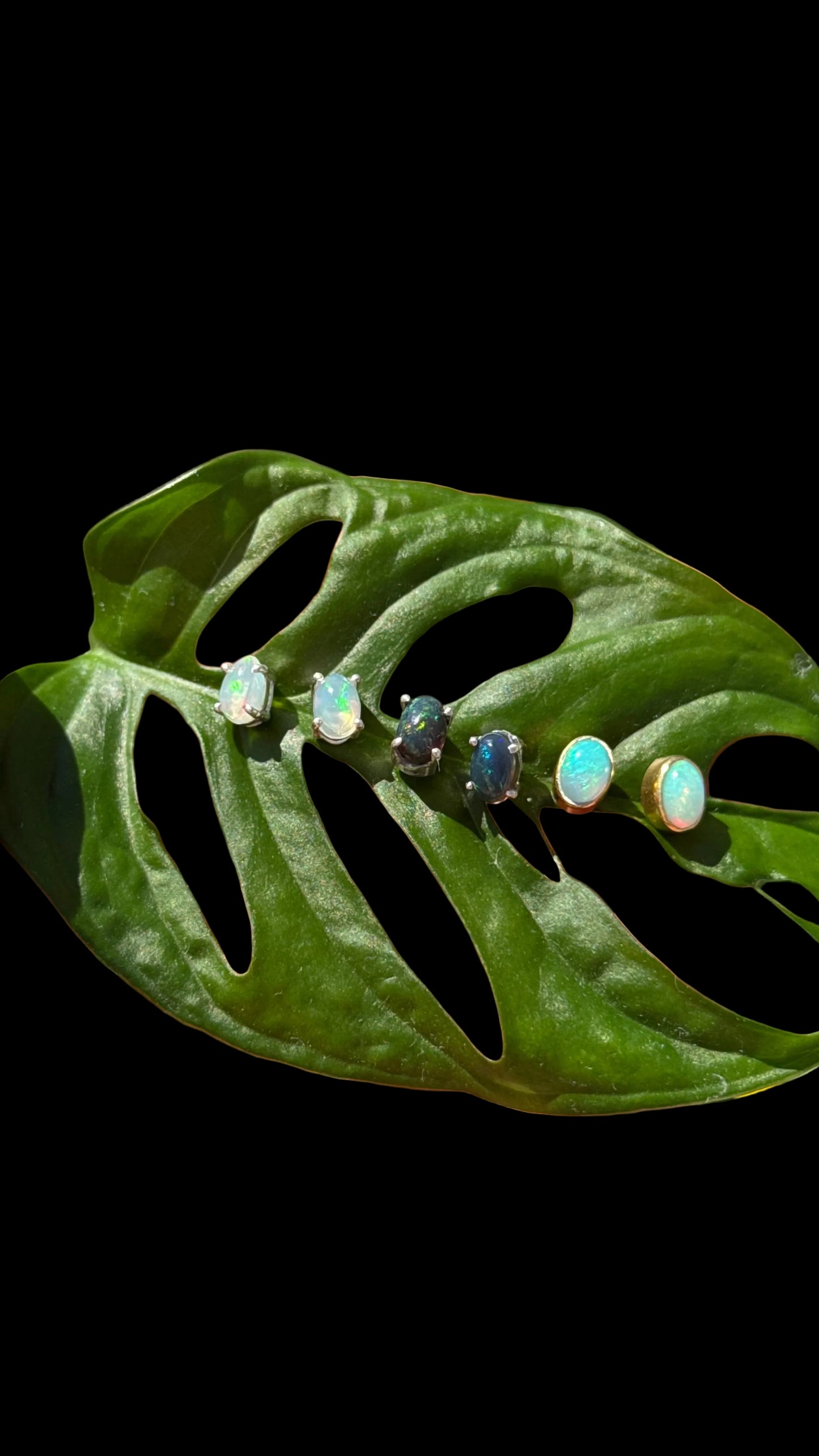Welo Opal Studs