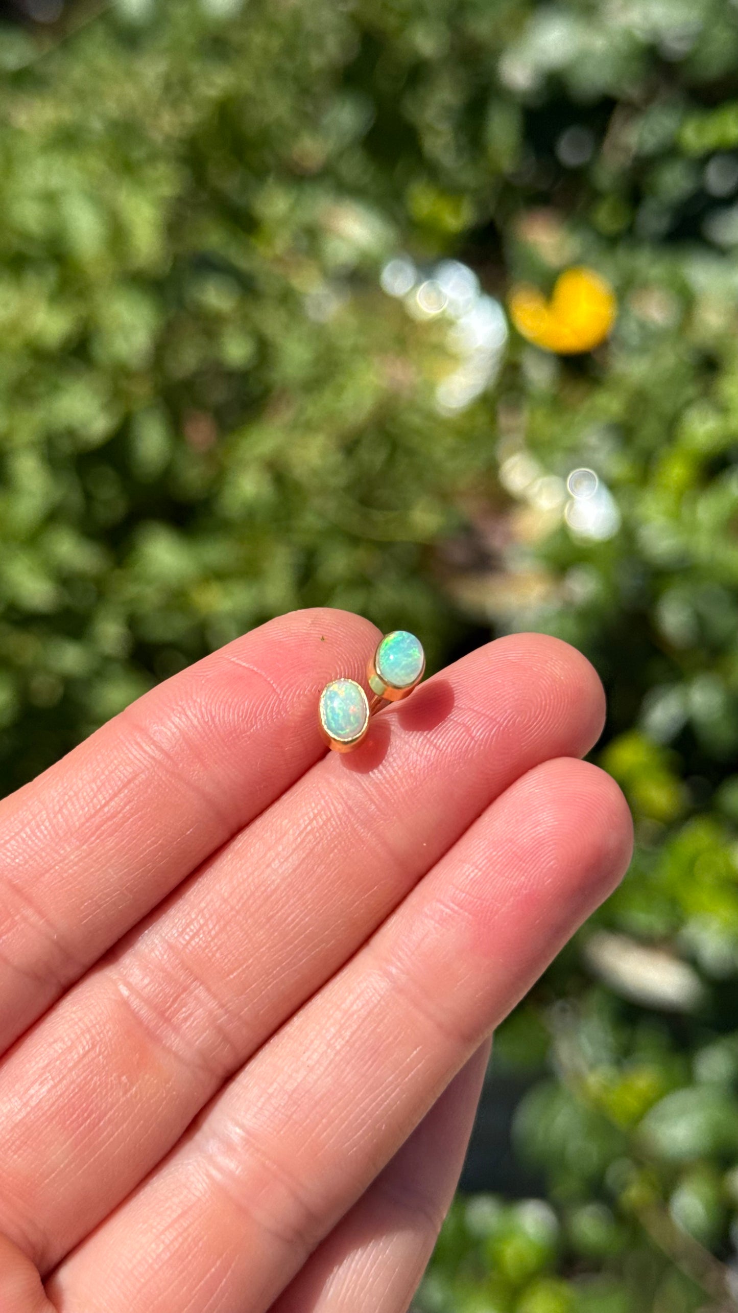 Welo Opal Studs in gold vermeil