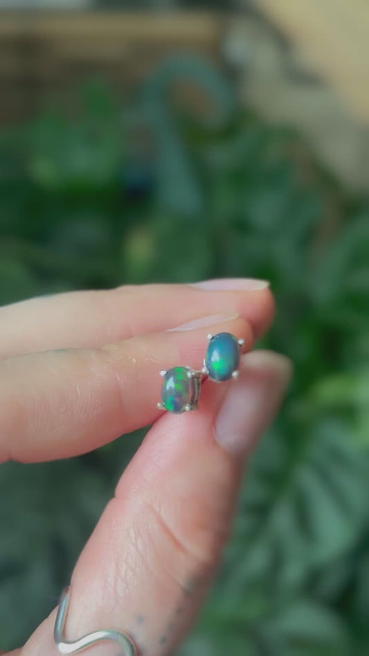 Black Opal Studs
